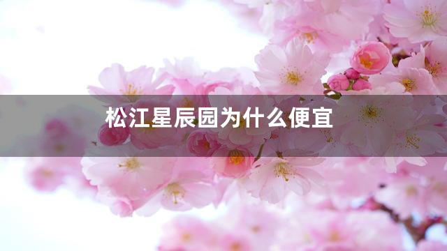 松江星辰园为什么便宜