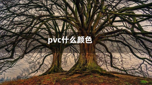 pvc什么颜色