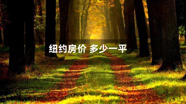 纽约房价 多少一平