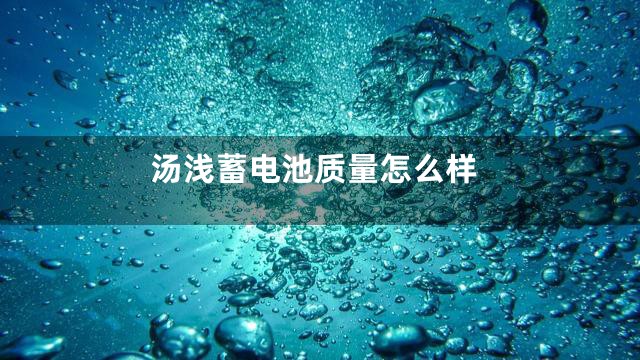 汤浅蓄电池质量怎么样