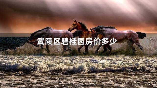 武陵区碧桂园房价多少