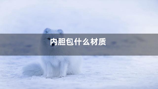 内胆包什么材质