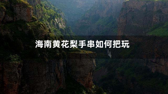 海南黄花梨手串如何把玩