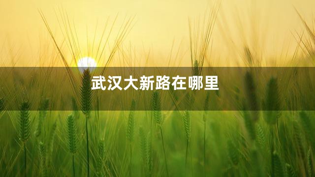 武汉大新路在哪里