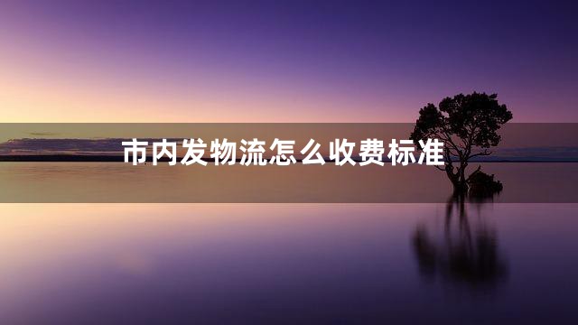 市内发物流怎么收费标准