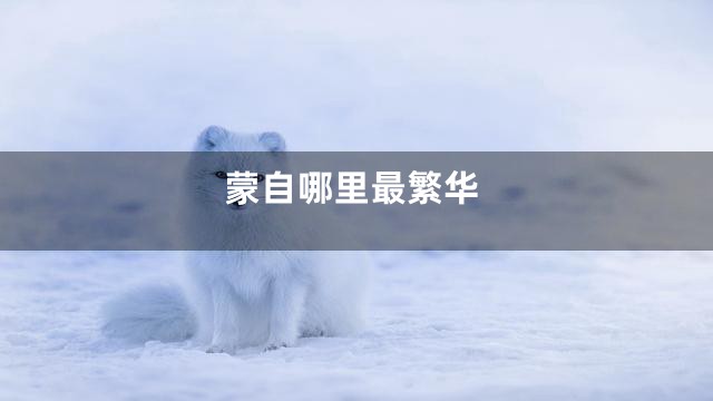 蒙自哪里最繁华