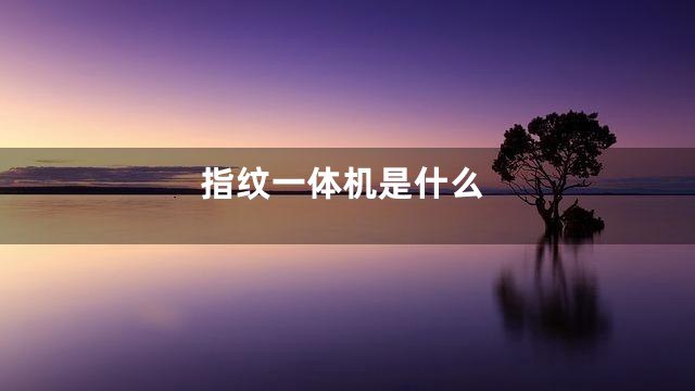 指纹一体机是什么
