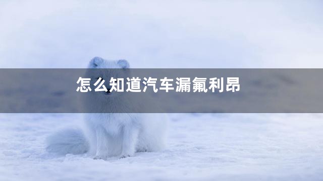 怎么知道汽车漏氟利昂