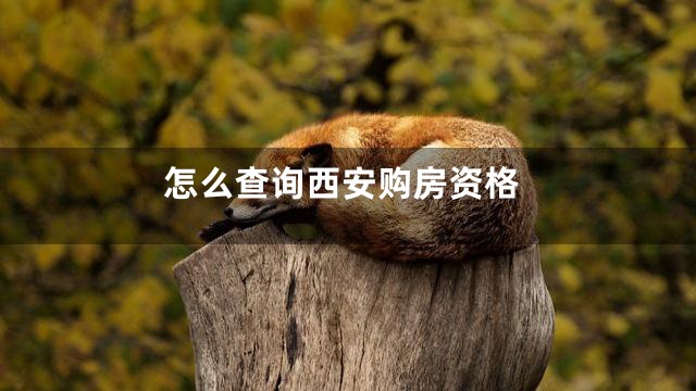 怎么查询西安购房资格