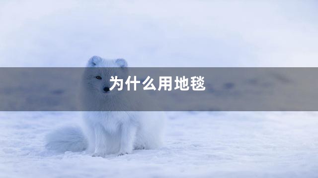 为什么用地毯