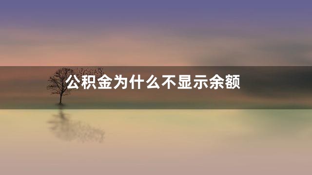 公积金为什么不显示余额