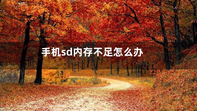 手机sd内存不足怎么办