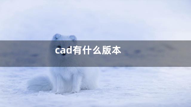 cad有什么版本