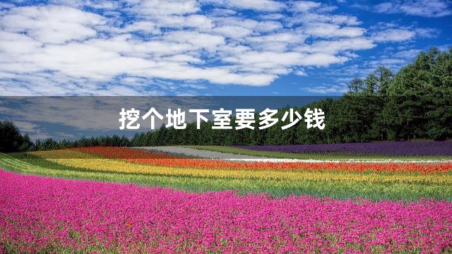 挖个地下室要多少钱