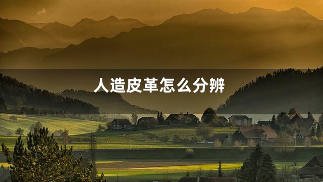 人造皮革怎么分辨