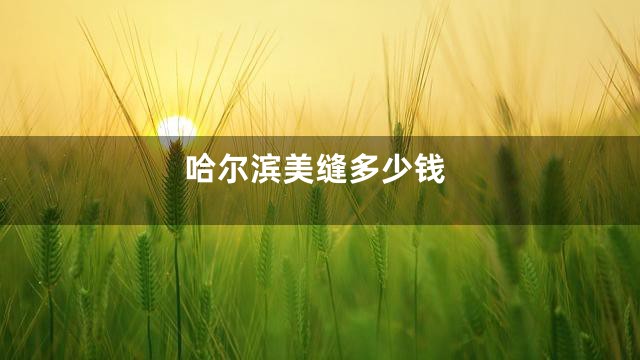 哈尔滨美缝多少钱