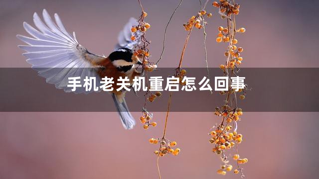 手机老关机重启怎么回事