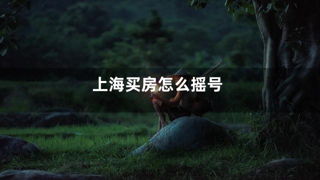 上海买房怎么摇号