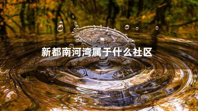 新都南河湾属于什么社区