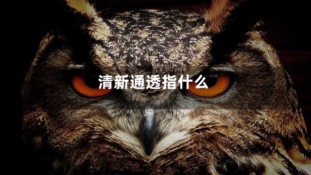 清新通透指什么
