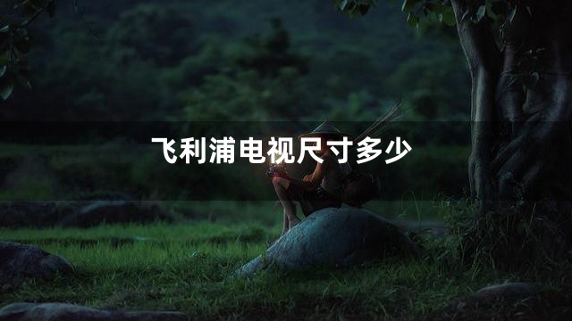 飞利浦电视尺寸多少