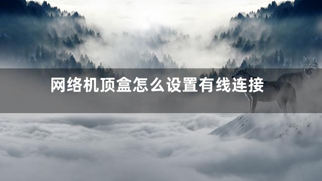 网络机顶盒怎么设置有线连接