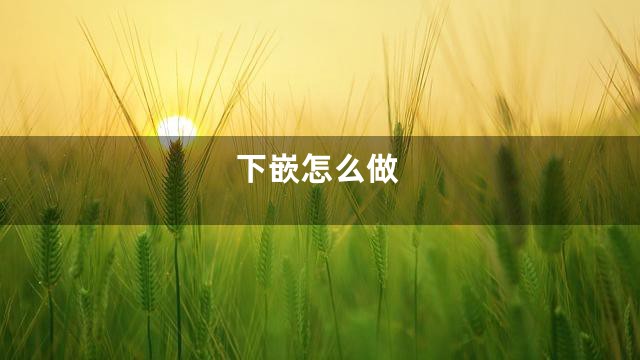 下嵌怎么做