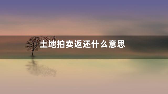 土地拍卖返还什么意思