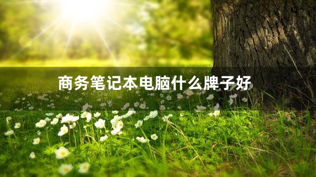 商务笔记本电脑什么牌子好