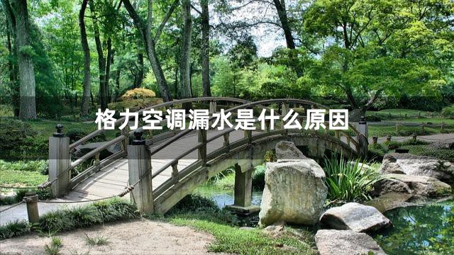 格力空调漏水是什么原因