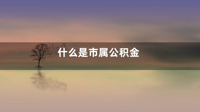 什么是市属公积金