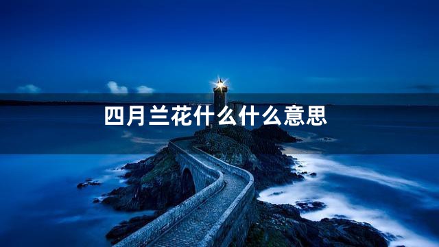 四月兰花什么什么意思