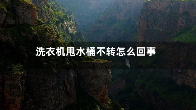 洗衣机甩水桶不转怎么回事