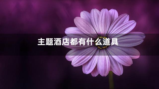 主题酒店都有什么道具