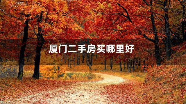 厦门二手房买哪里好