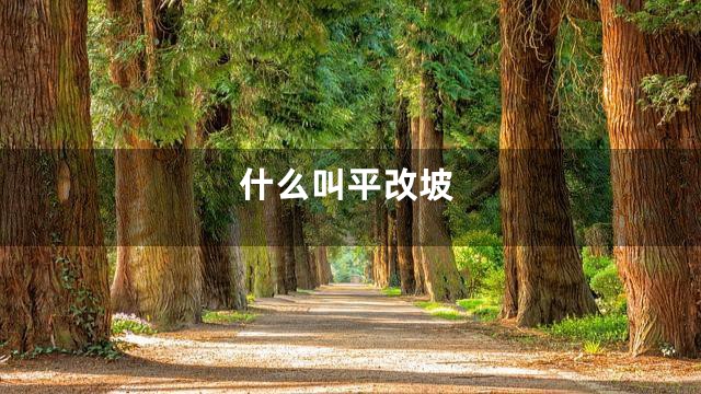 什么叫平改坡