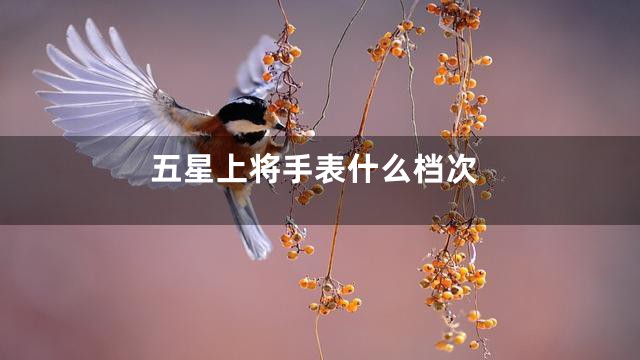 五星上将手表什么档次