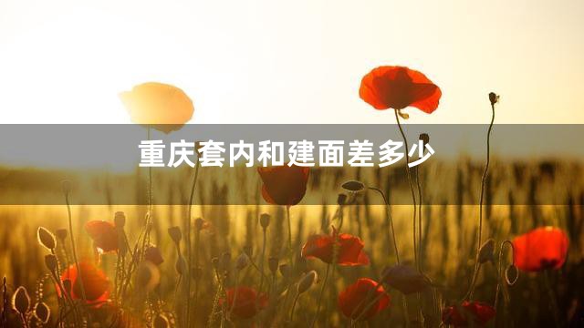 重庆套内和建面差多少