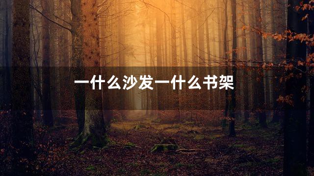 一什么沙发一什么书架