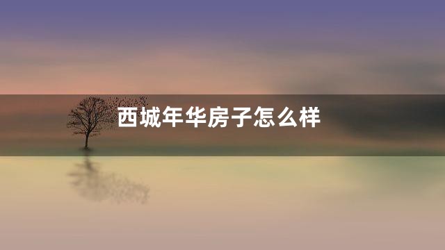 西城年华房子怎么样