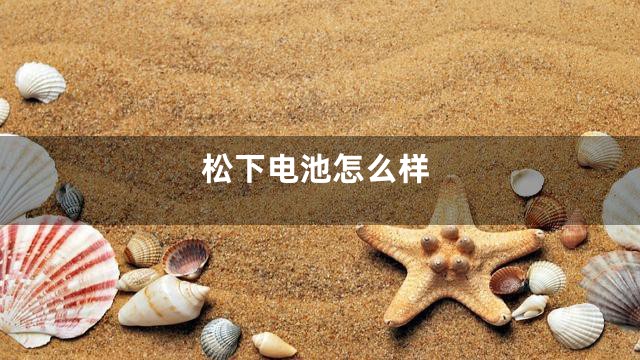 松下电池怎么样