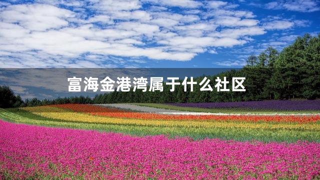 富海金港湾属于什么社区