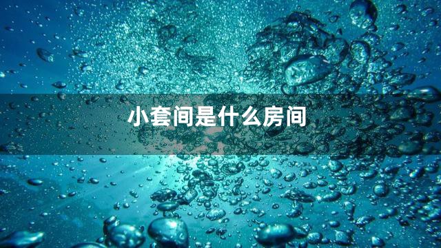 小套间是什么房间