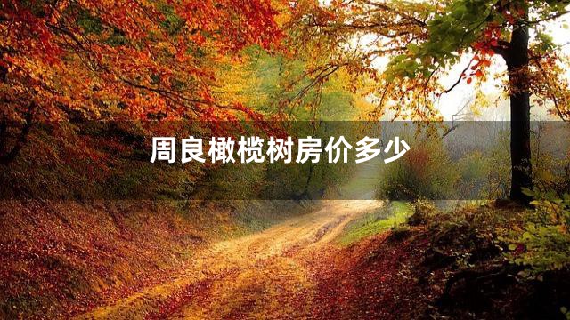 周良橄榄树房价多少