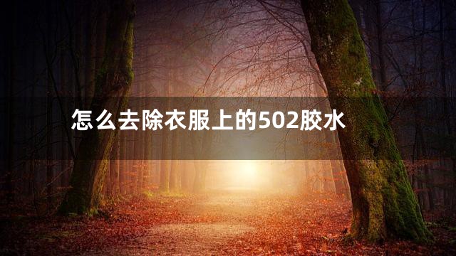 怎么去除衣服上的502胶水