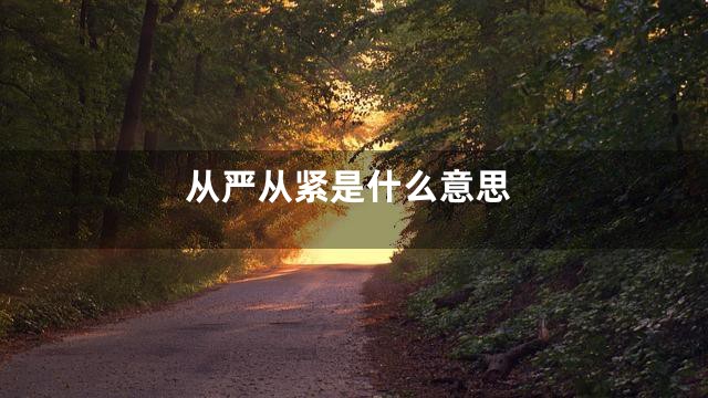从严从紧是什么意思