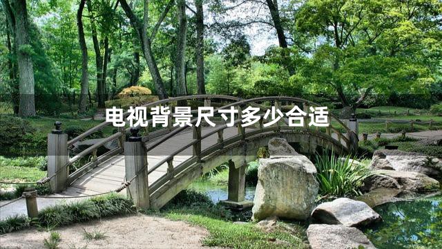 电视背景尺寸多少合适