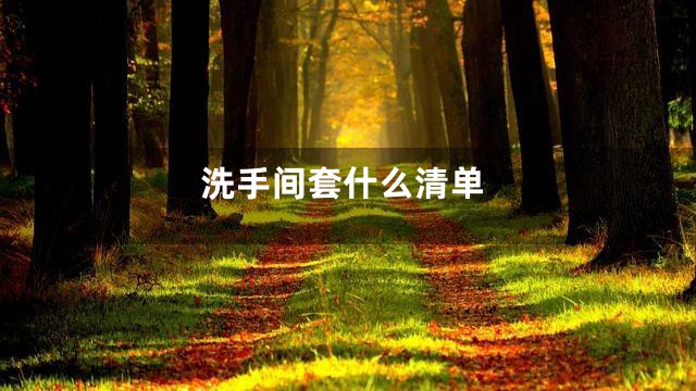 洗手间套什么清单