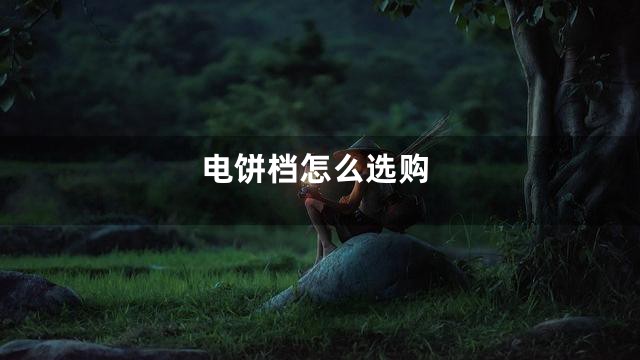 电饼档怎么选购
