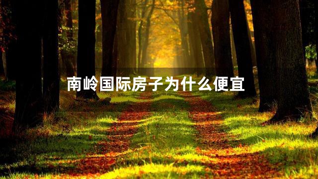 南岭国际房子为什么便宜